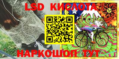 мяу мяу мука Краснознаменск