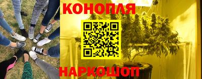 мяу мяу мука Краснознаменск