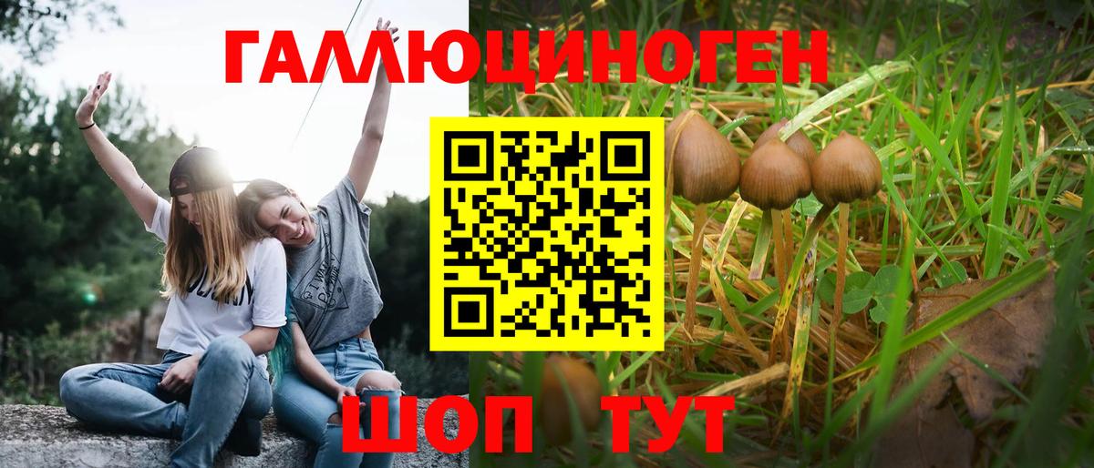 Псилоцибиновые грибы прущие грибы Казань
