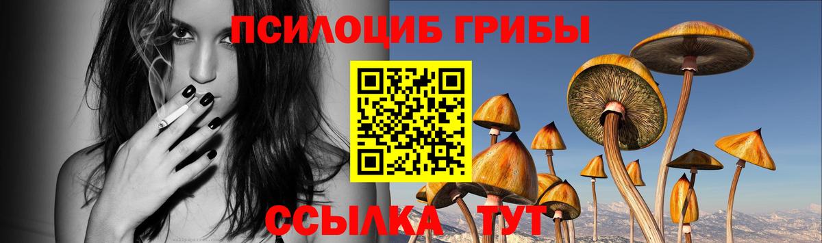 Псилоцибиновые грибы ЛСД  Галлюциногенные грибы прущие грибы  Казань  Вход с VPN 